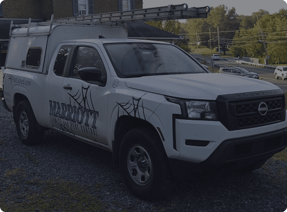 White utility truck with roof ladder